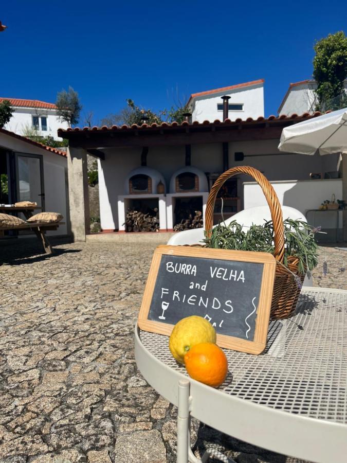 Willa Burra Velha - Private House Celorico De Basto Zewnętrze zdjęcie